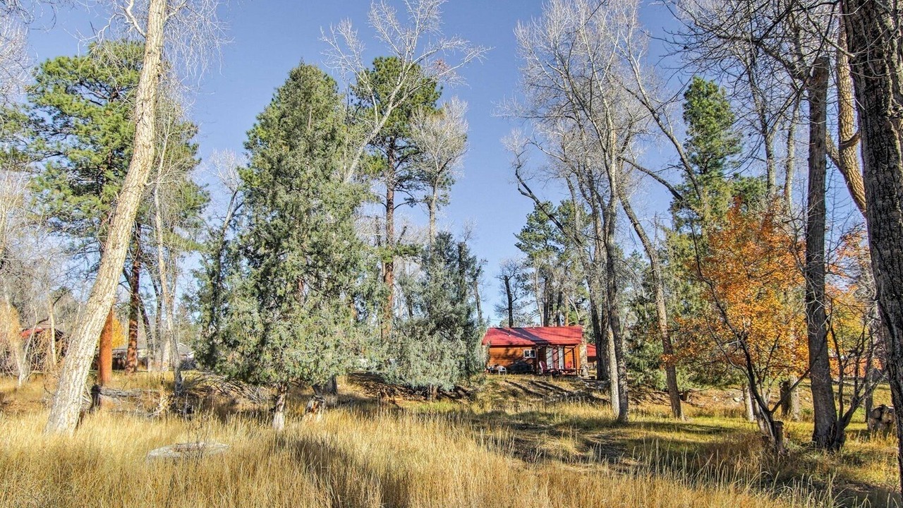 Photo of Others in Buena Vista