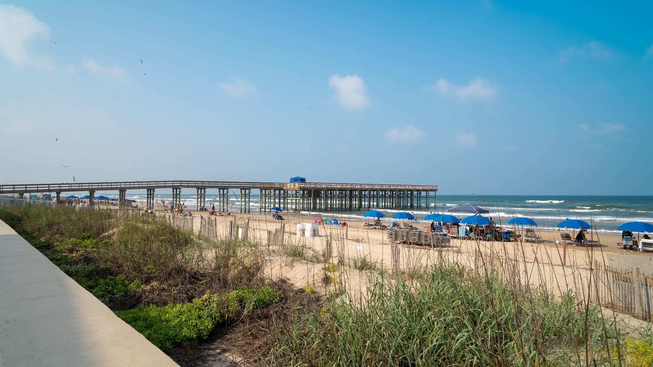 Photo of Others in South Padre Island