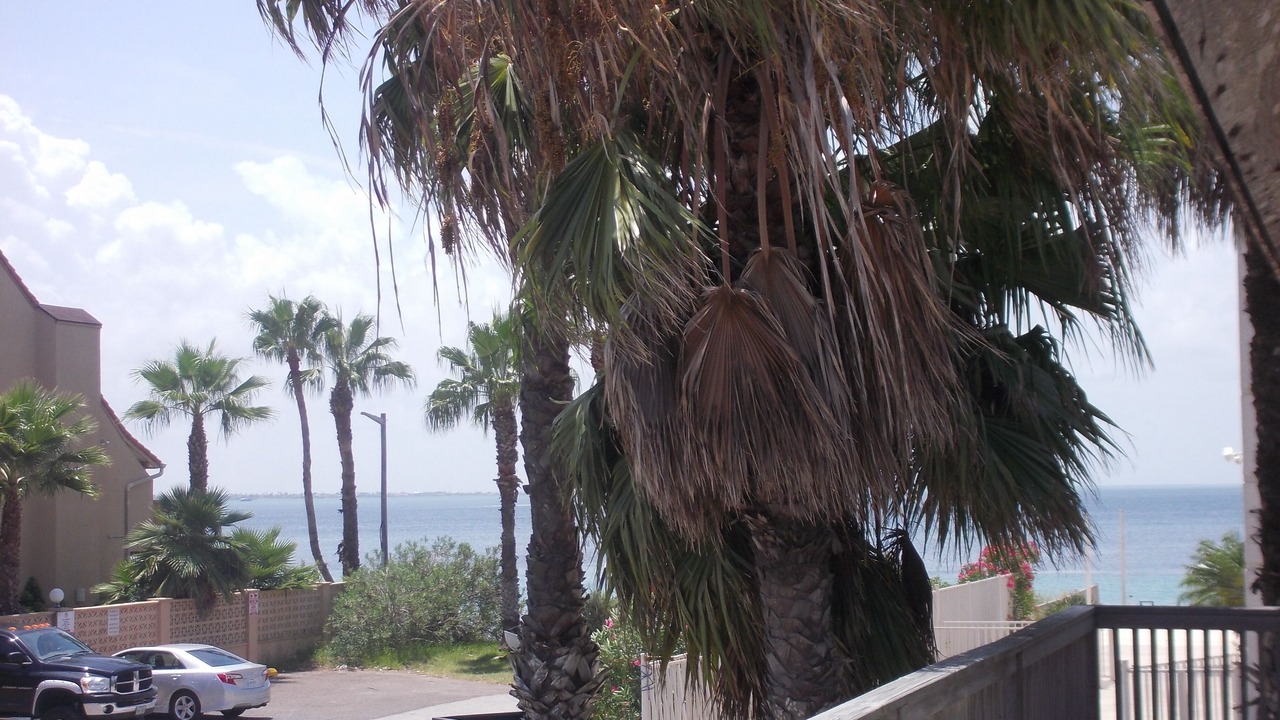 Photo of Outdoor in South Padre Island