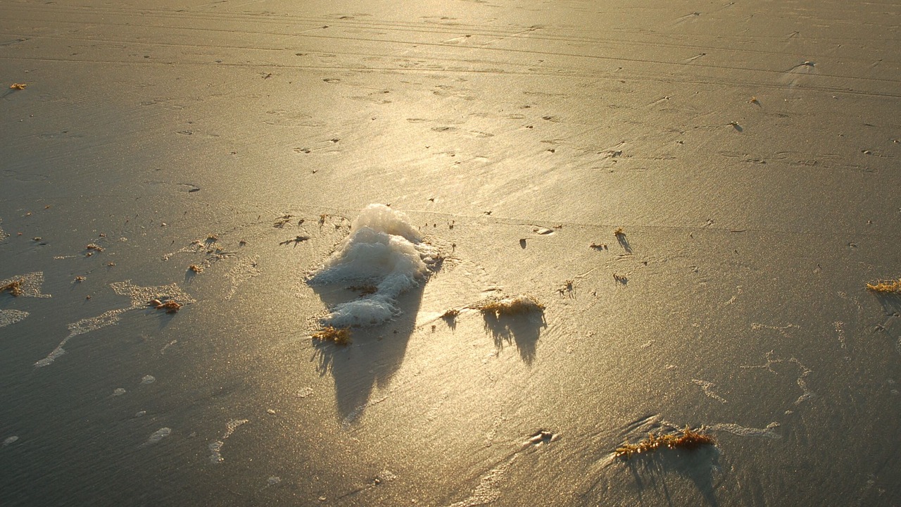 Photo of Others in Crescent Beach