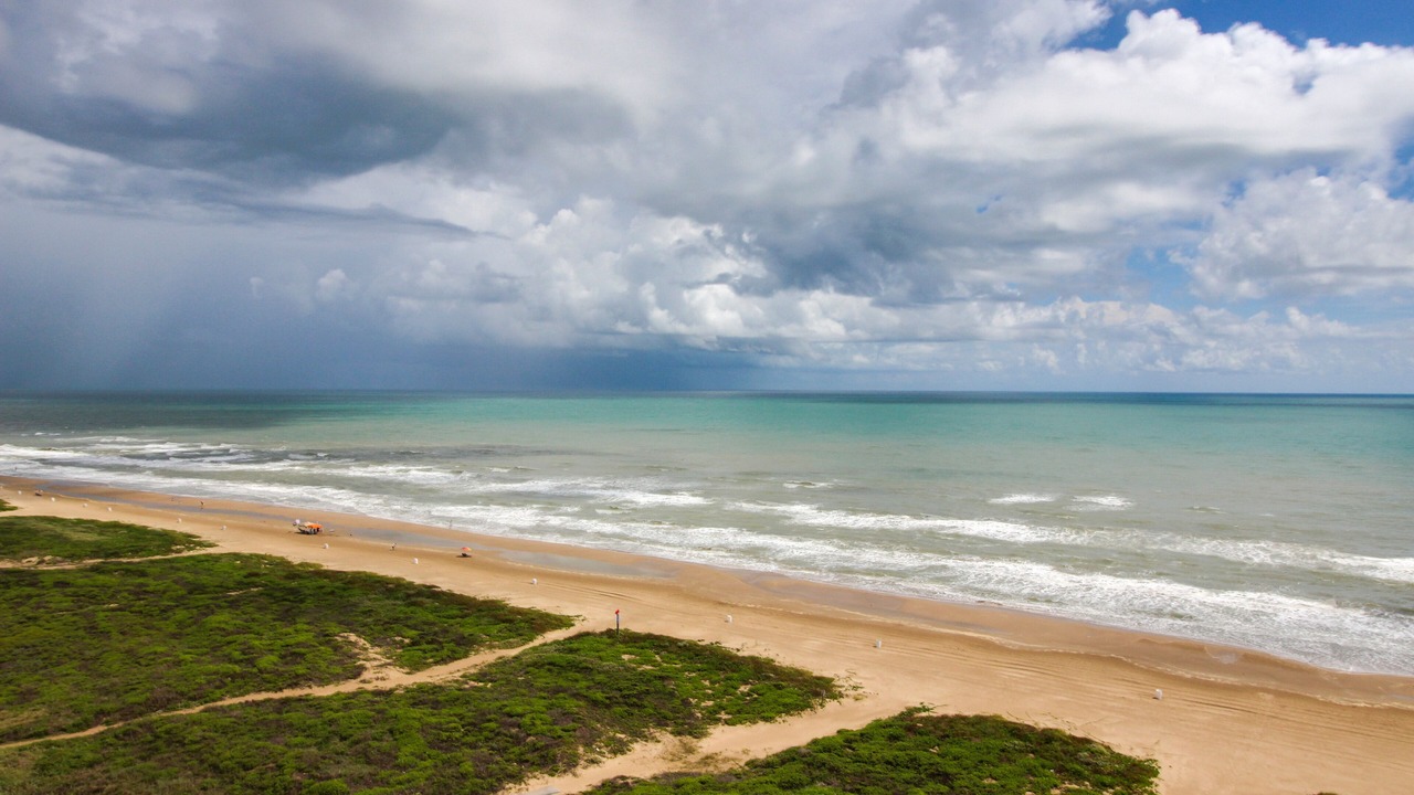 Photo of Others in South Padre Island