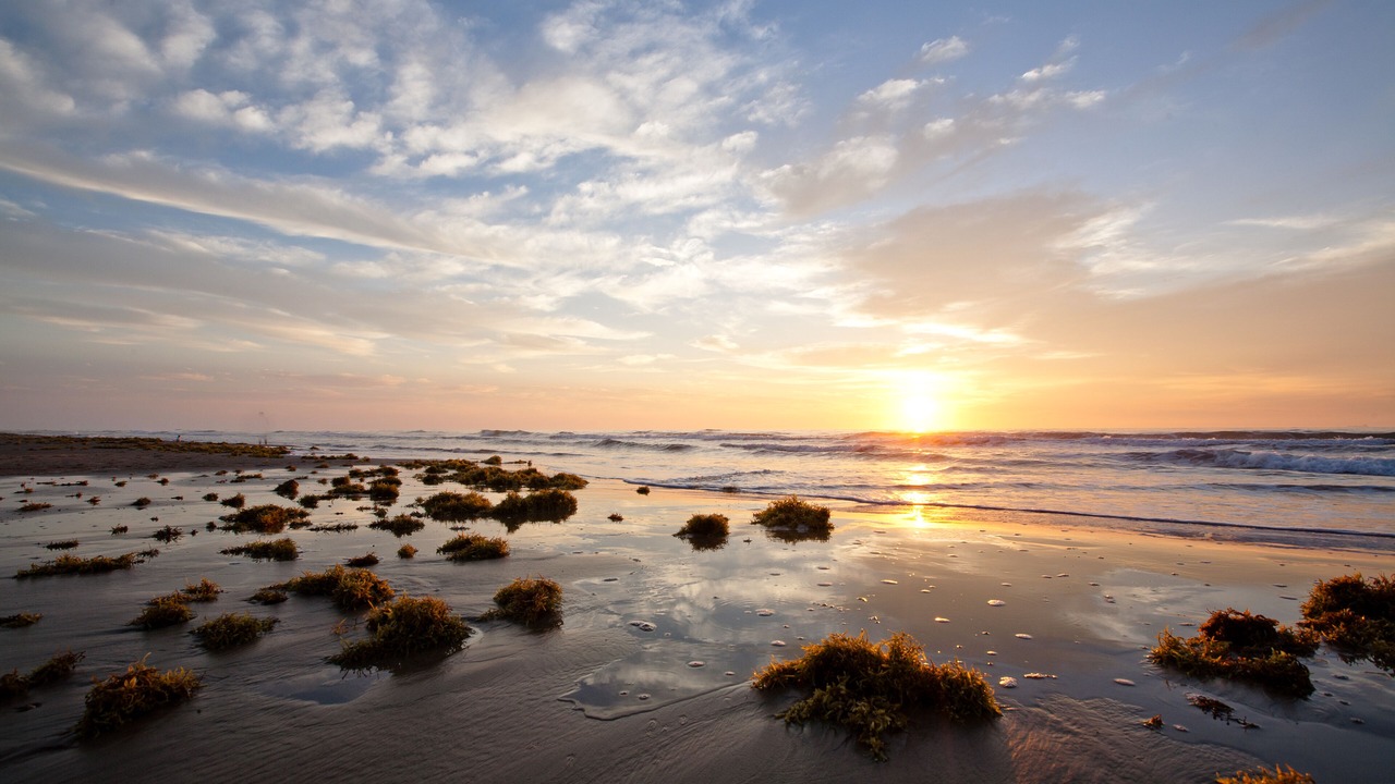 Photo of Others in South Padre Island