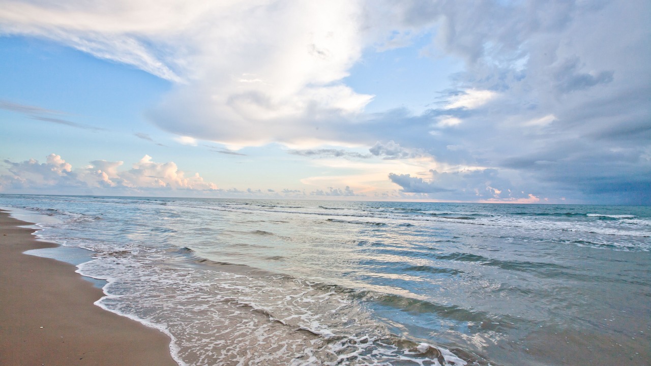 Photo of Others in South Padre Island