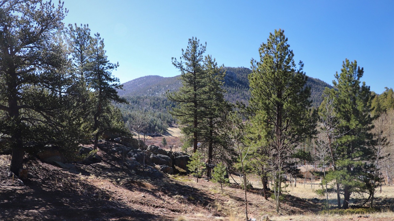 Photo of Outdoor in Tarryall