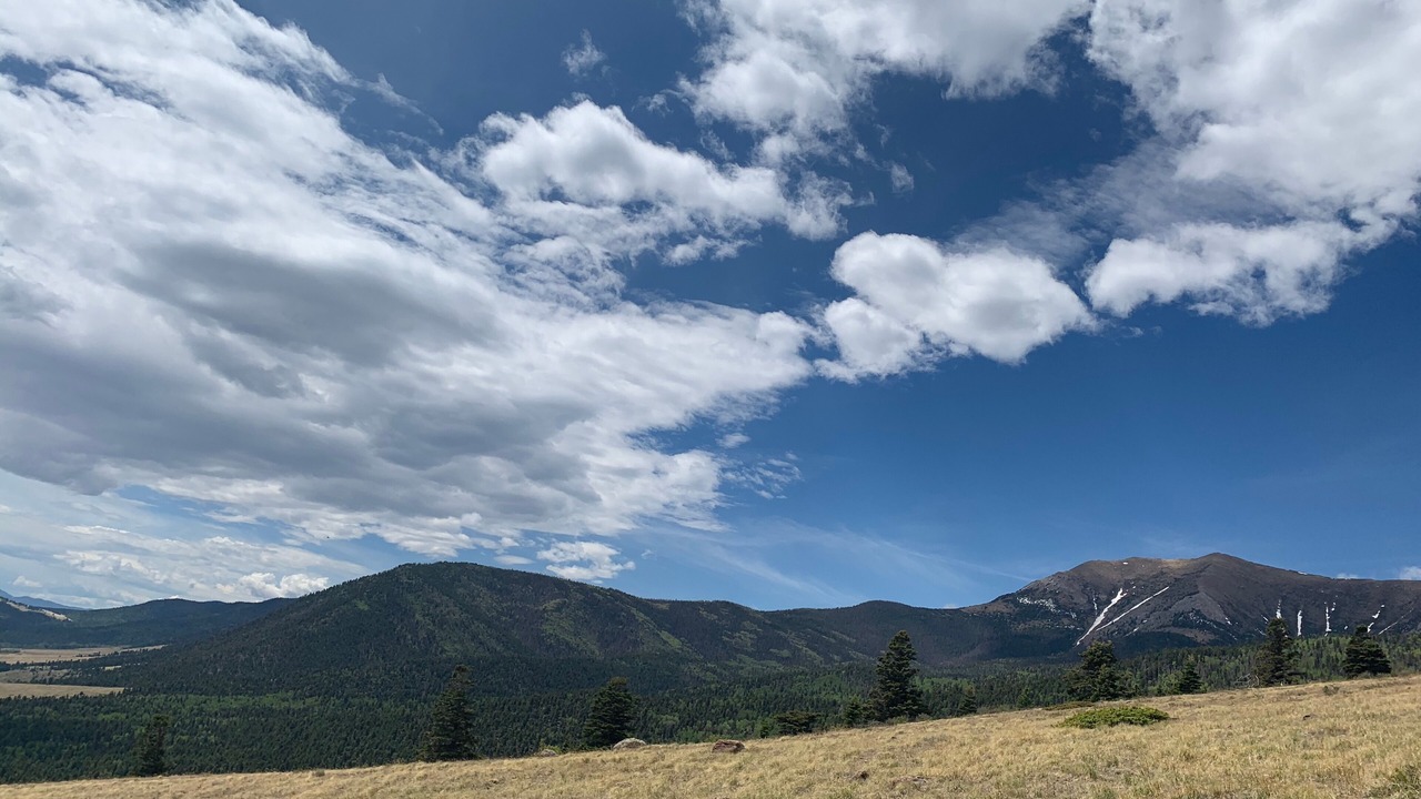Photo of Others in Westcliffe