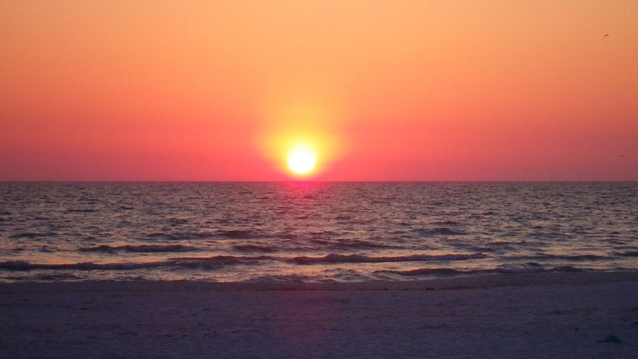 Photo of Others in Siesta Key