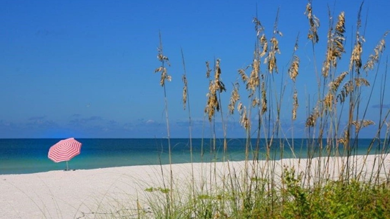 Photo of Others in Siesta Key