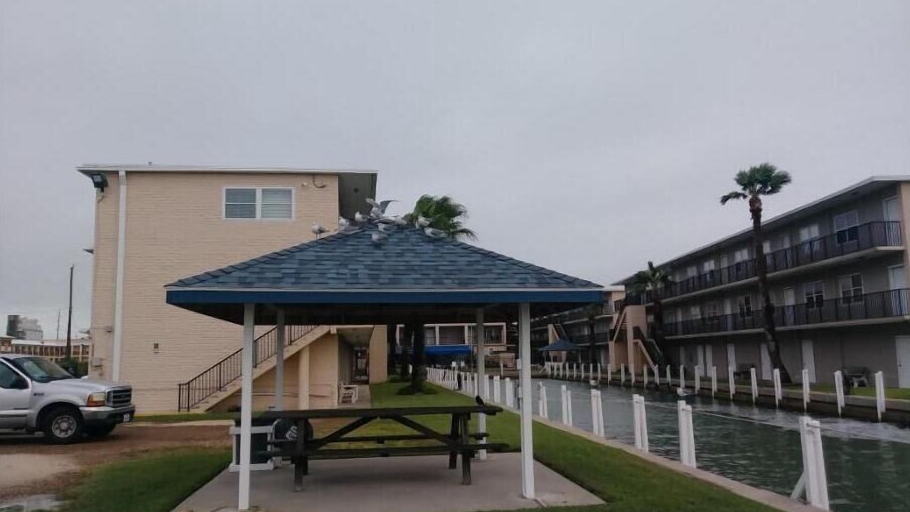 Photo of Outdoor in South Padre Island