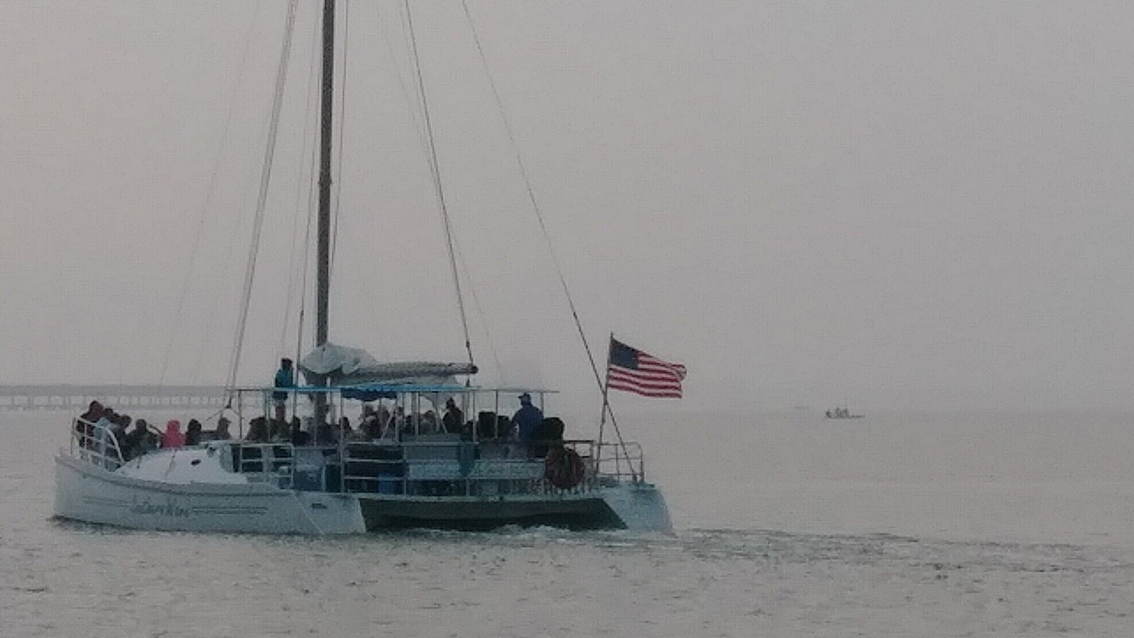 Photo of Others in South Padre Island