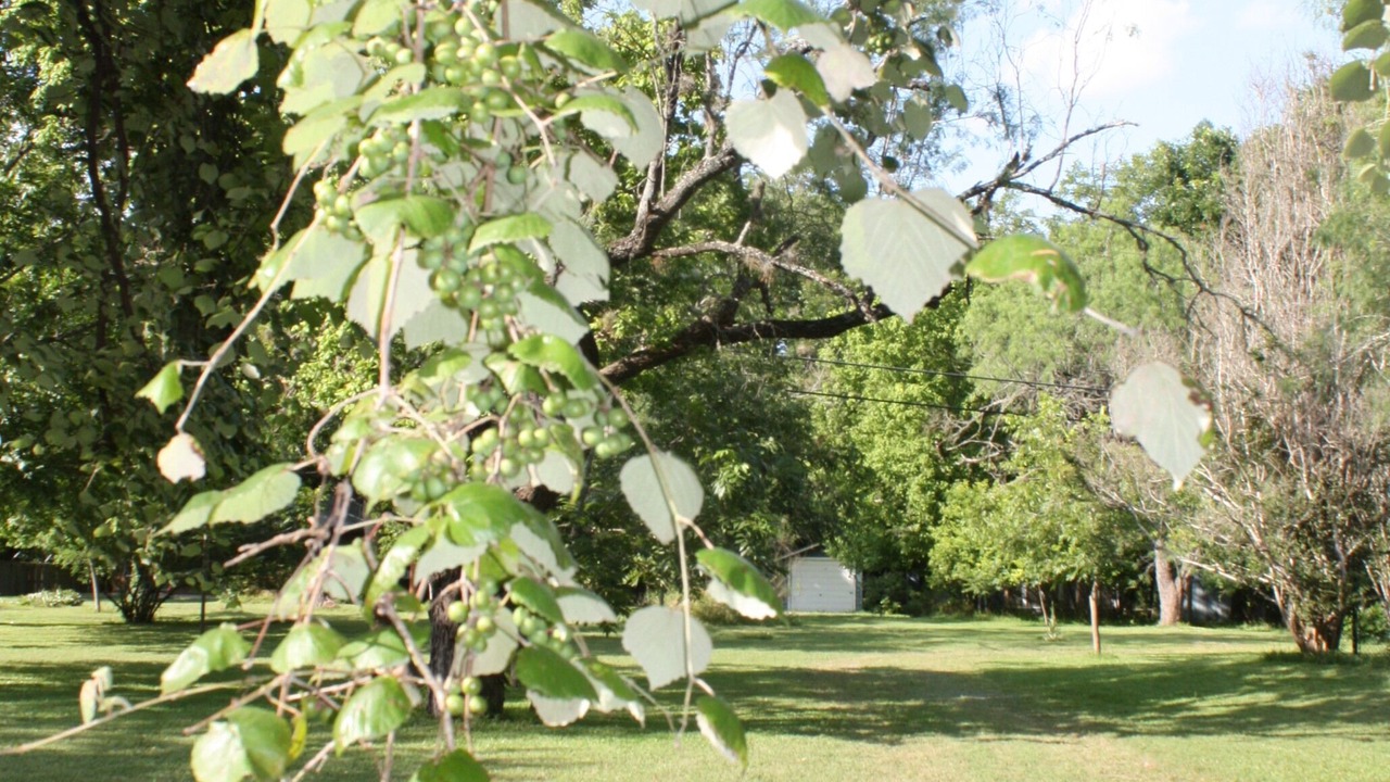 Photo of Outdoor in New Braunfels