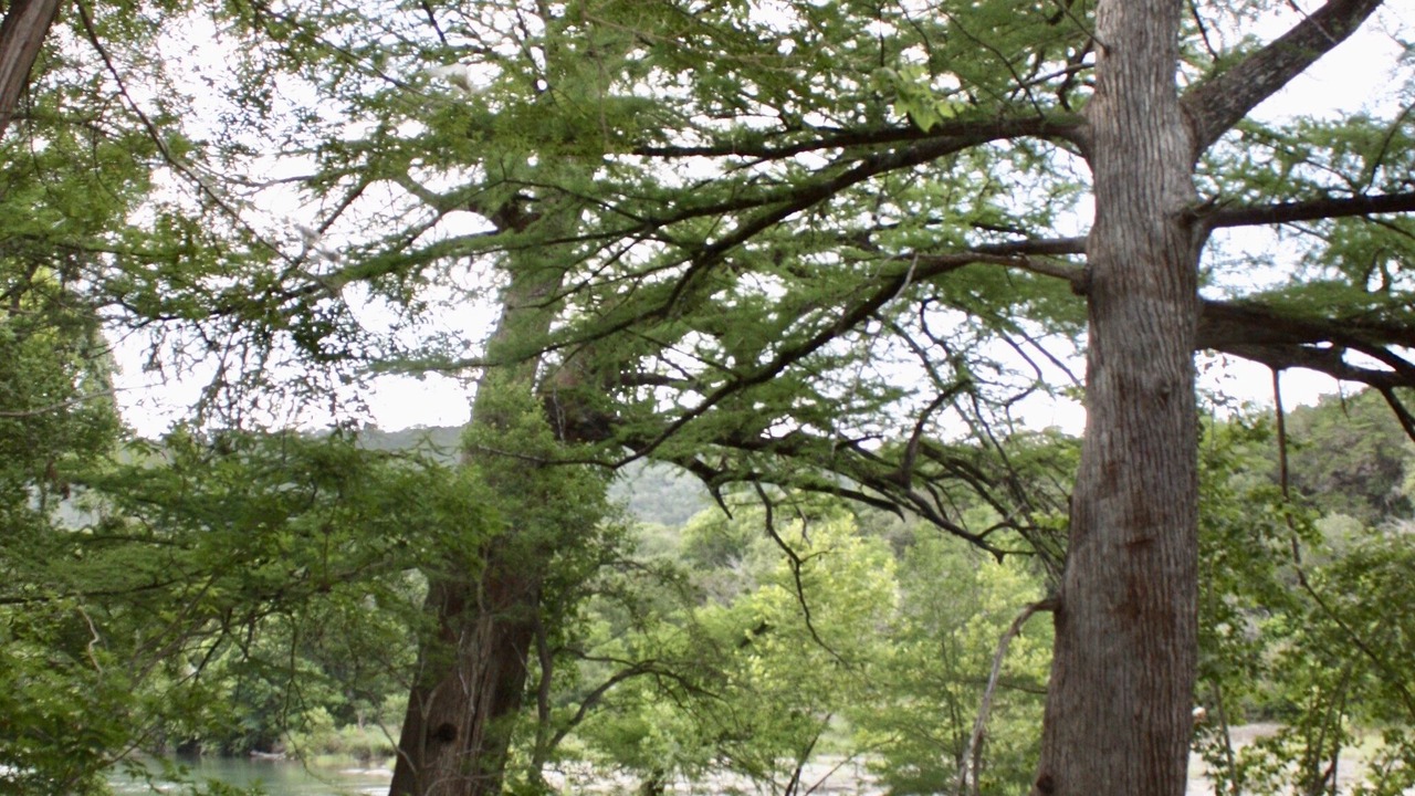 Photo of Outdoor in New Braunfels
