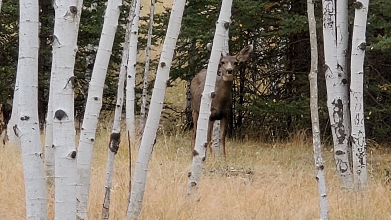 Photo of Outdoor in Lake George
