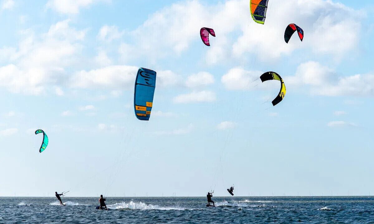 Photo of Others in South Padre Island