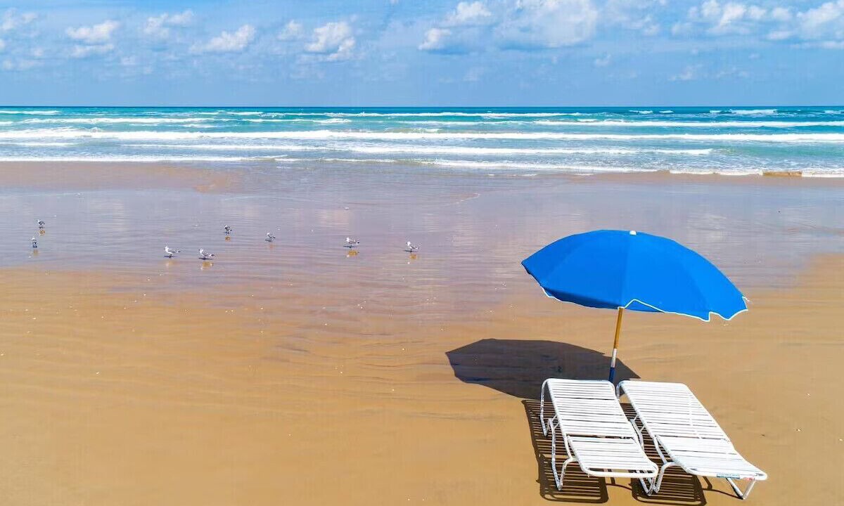Photo of Others in South Padre Island