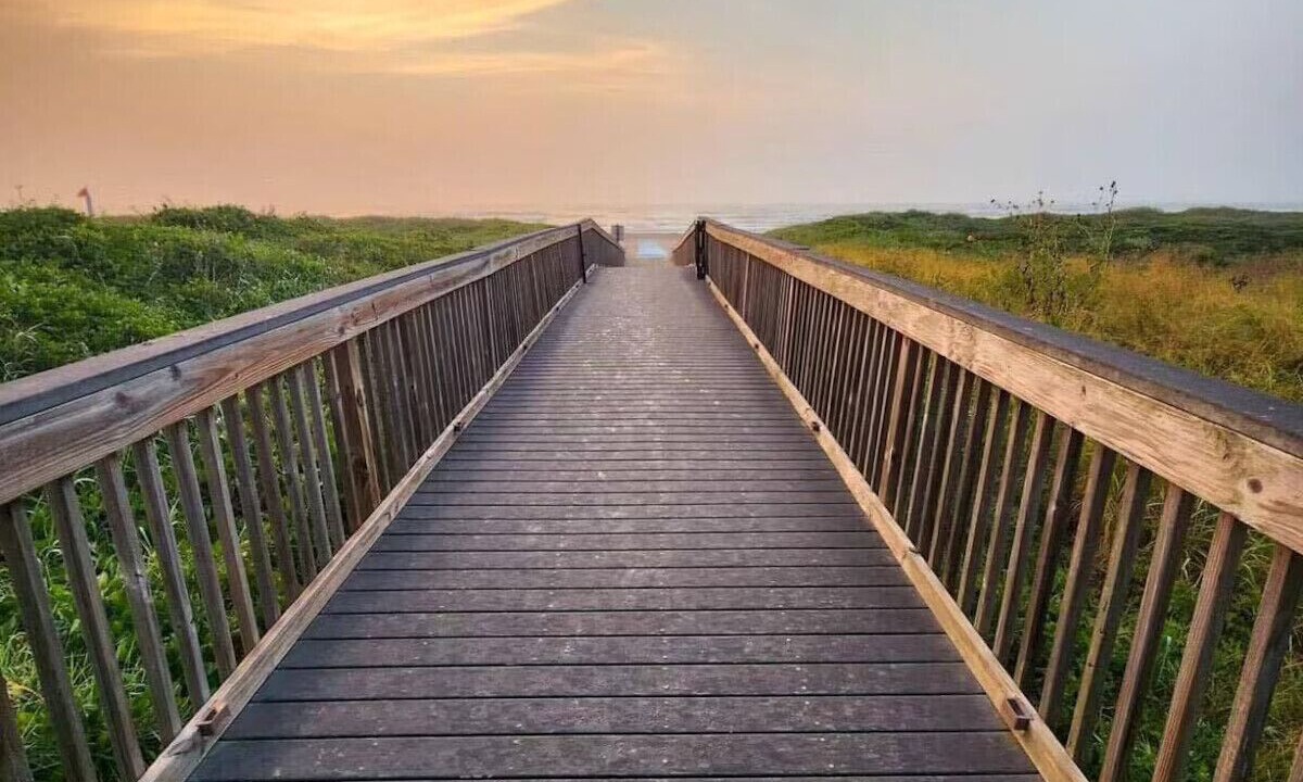Photo of Others in South Padre Island