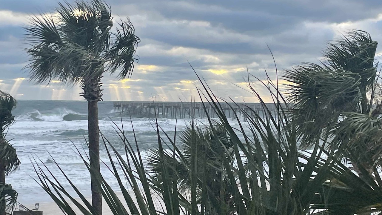 Photo of Others in Panama City Beach
