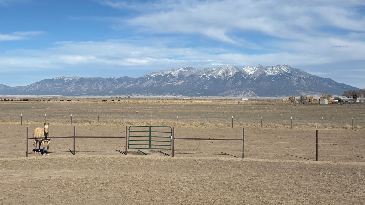 Photo of Others in Alamosa
