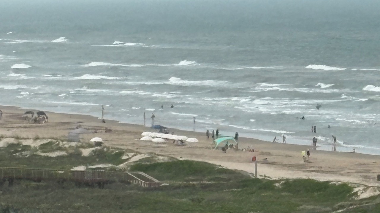 Photo of Others in South Padre Island