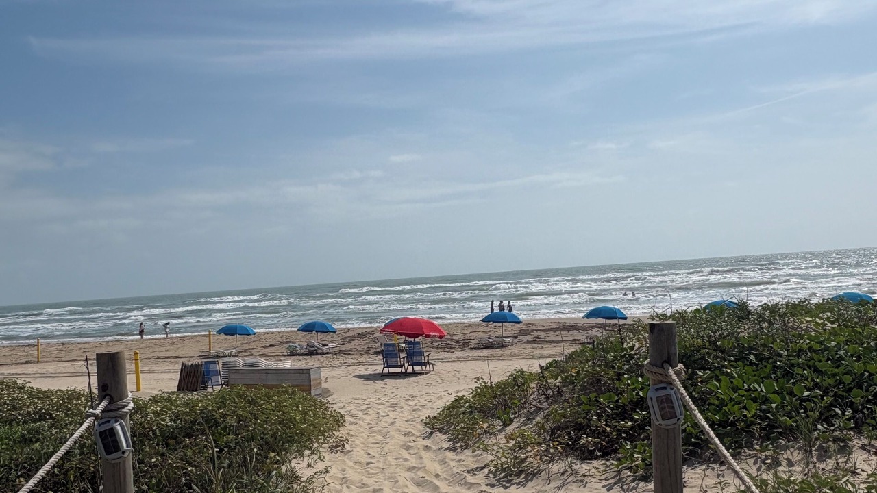 Photo of Others in South Padre Island