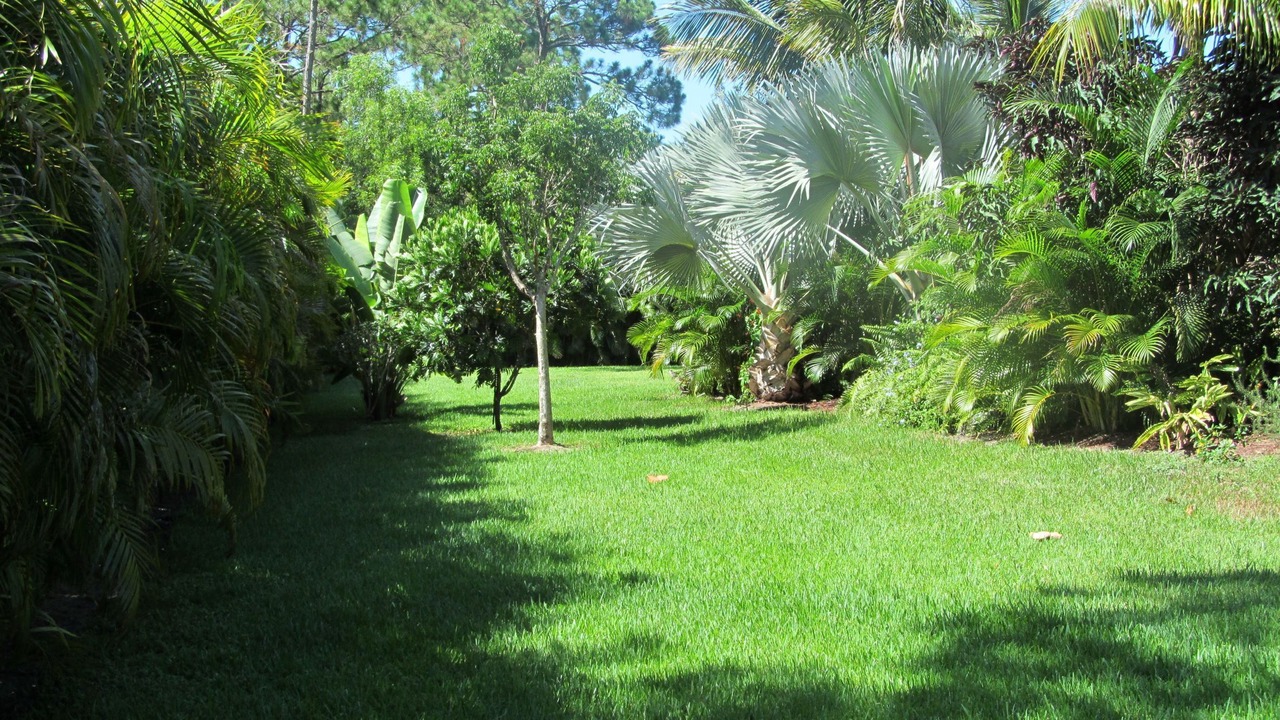 Photo of Outdoor in Jupiter Farms