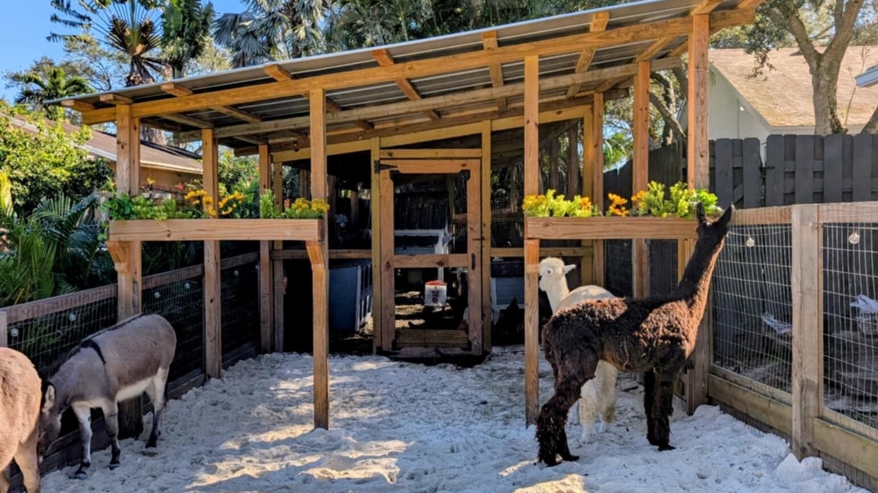 Photo of Outdoor in Southwest Ranches