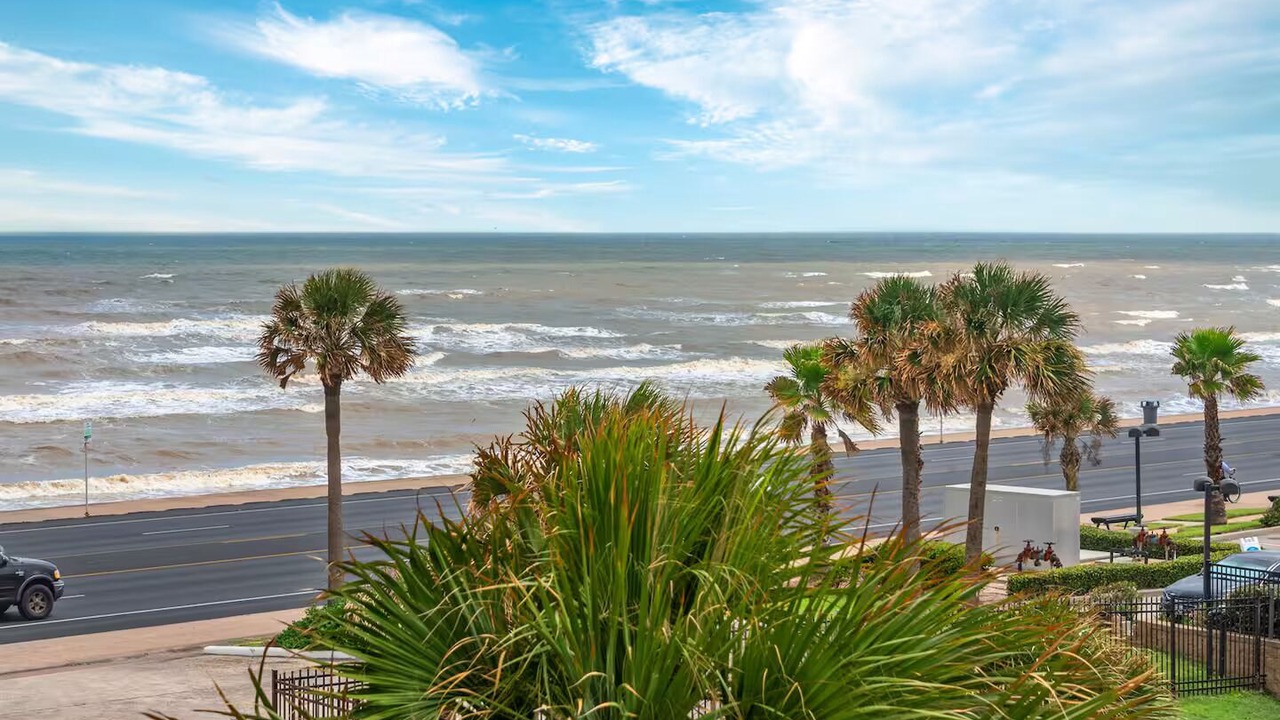 Photo of Others in Galveston