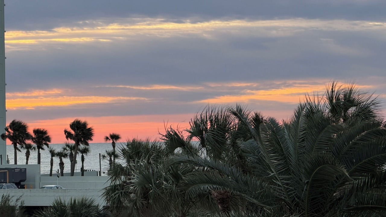 Photo of Others in Galveston