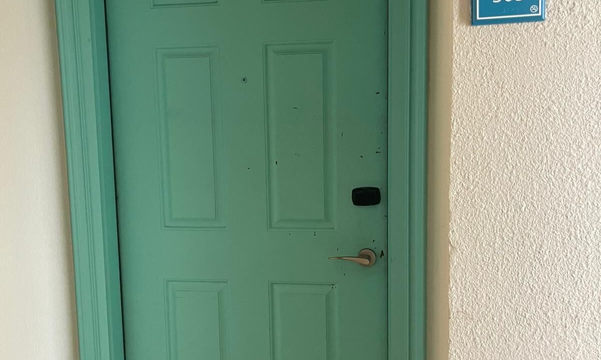Photo of Others in South Padre Island