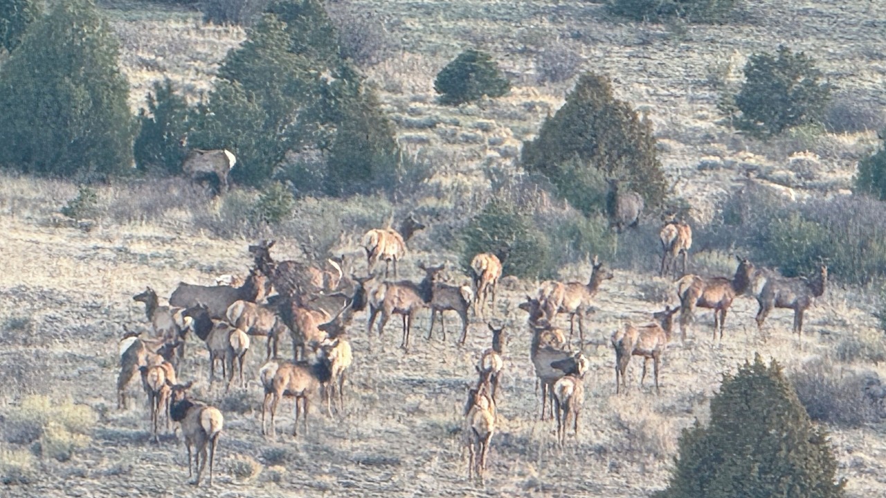 Photo of Others in Saguache