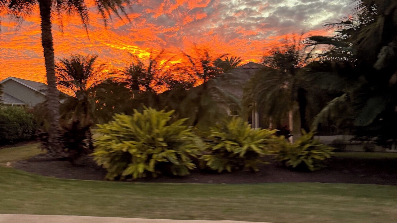 Photo of Outdoor in Village of Collier