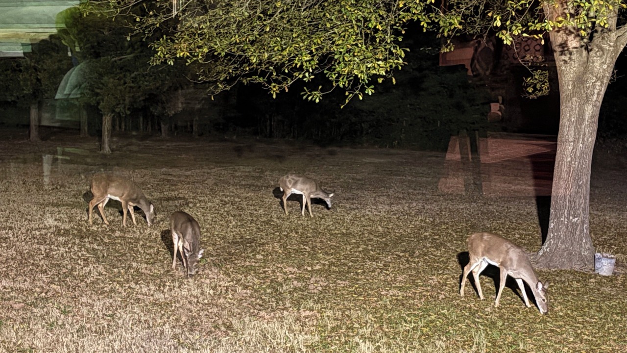 Photo of Others in Albany