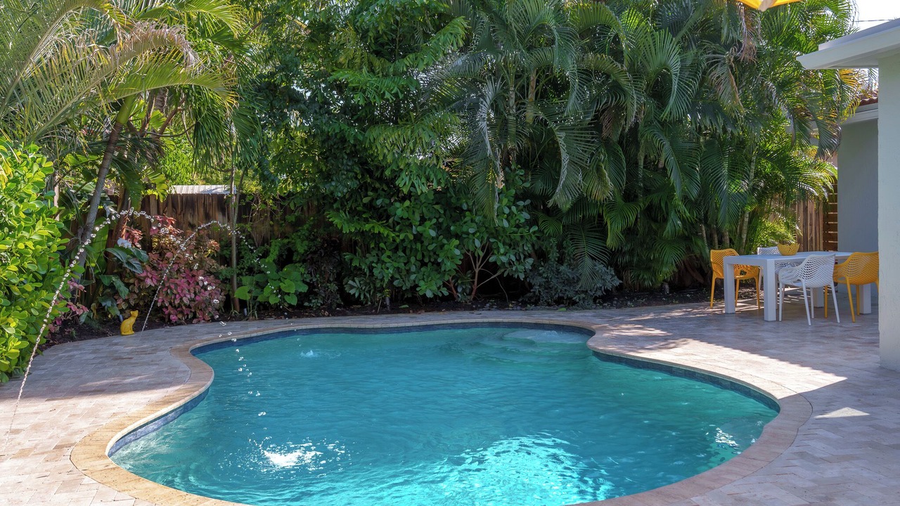 Photo of Outdoor in North Andrews Gardens