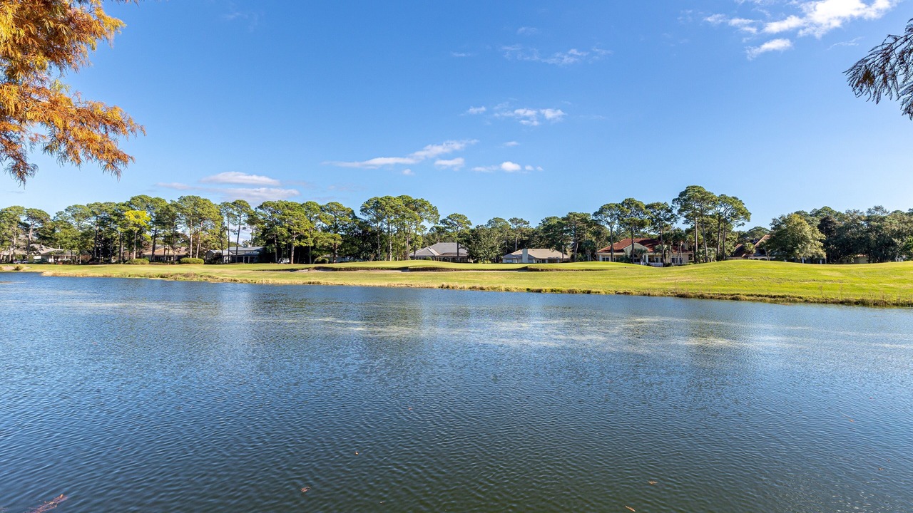 Photo of Outdoor in Laurel Grove