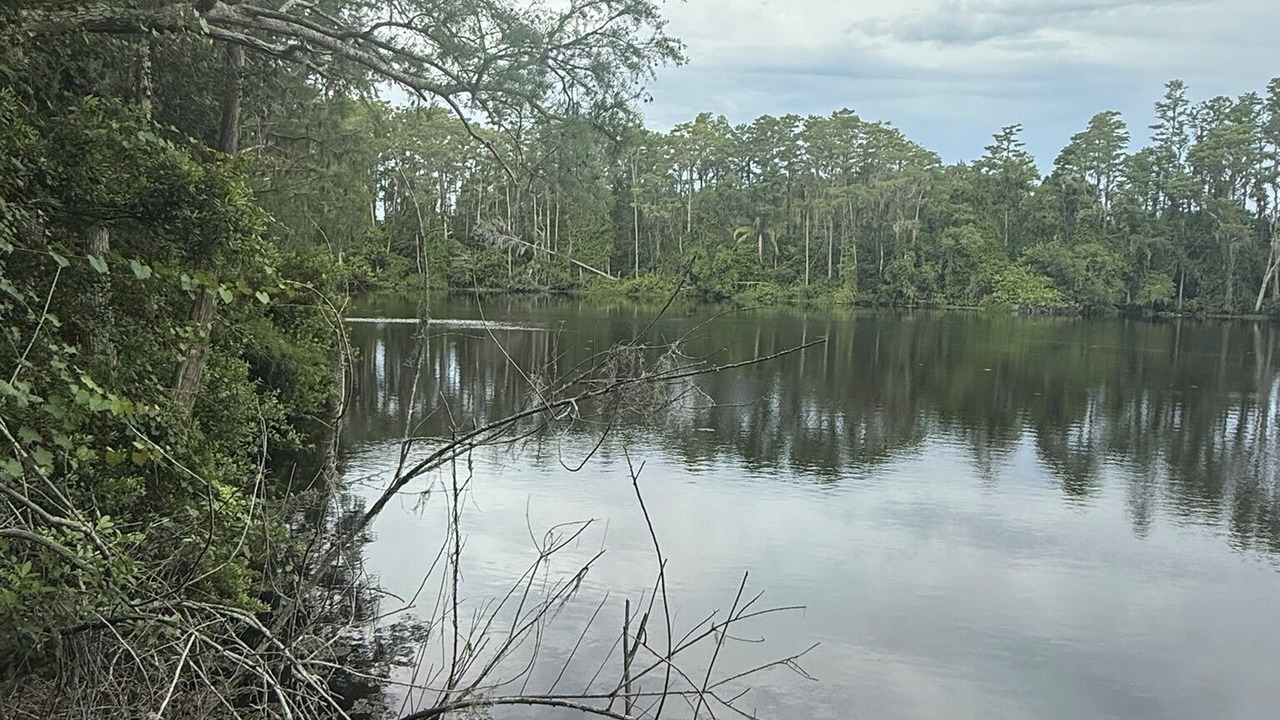 Photo of Outdoor in Lutz