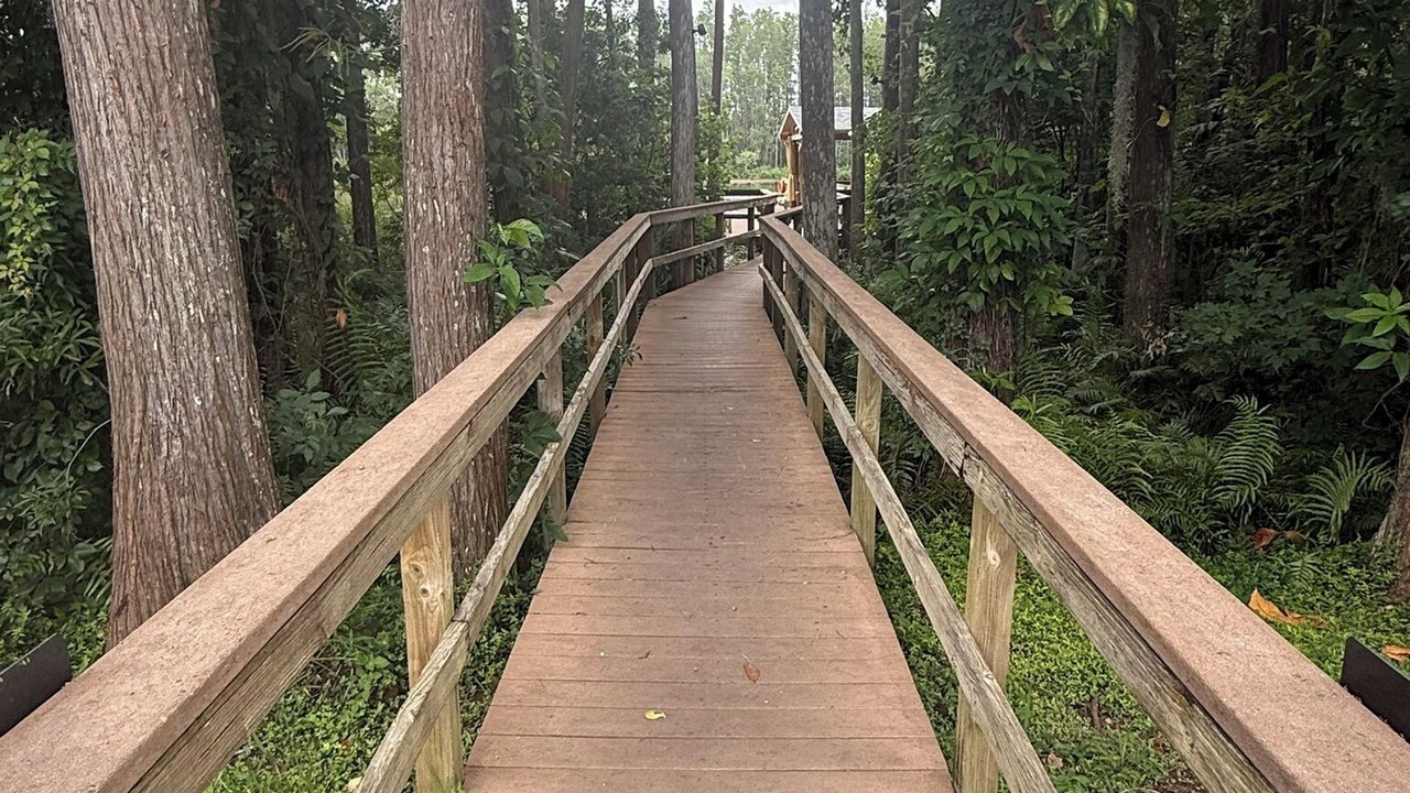 Photo of Outdoor in Lutz