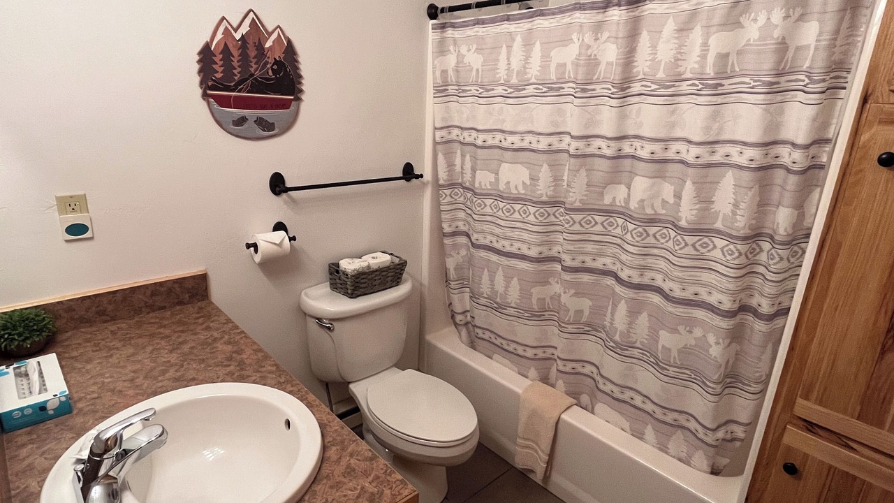 Photo of Bathroom in Almont