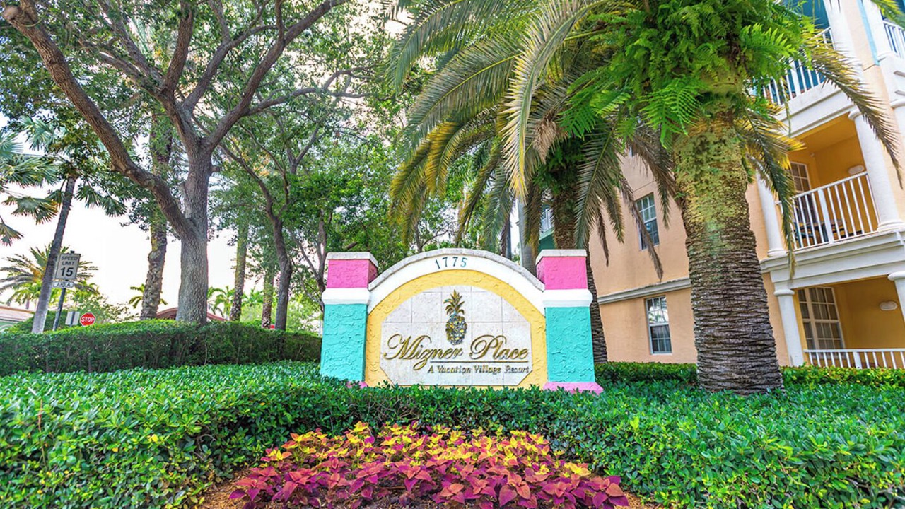 Photo of Outdoor in Weston