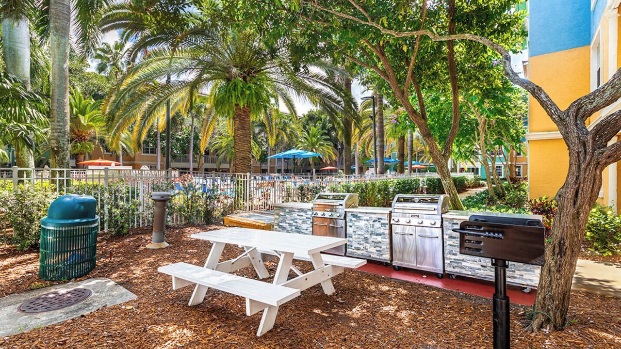 Photo of Outdoor in Weston