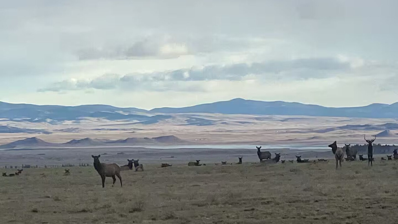 Photo of Others in Warm Springs