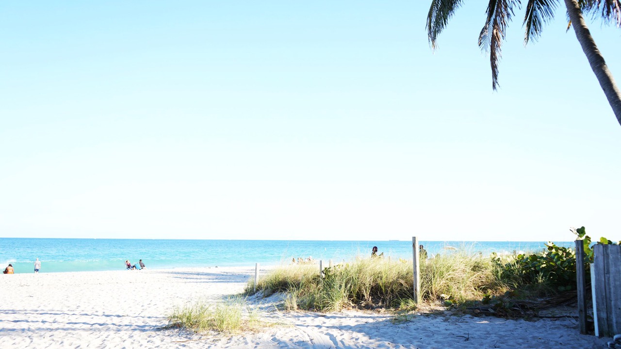 Photo of Others in Dolphin Isles