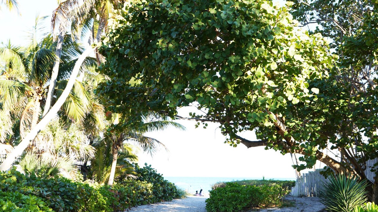 Photo of Others in Dolphin Isles