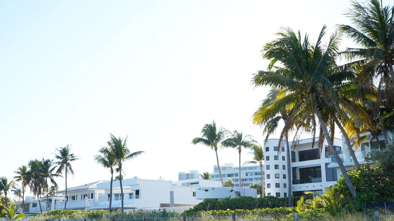 Photo of Others in Dolphin Isles
