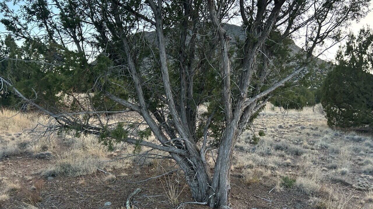 Photo of Others in Magdalena
