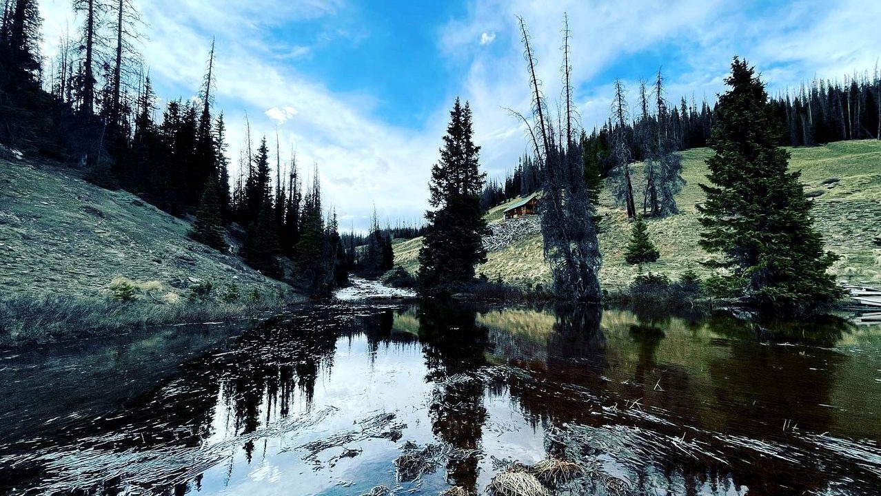 Photo of Others in Conejos County