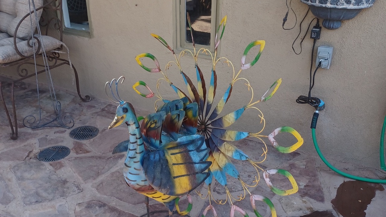 Photo of Outdoor in Mesilla Park