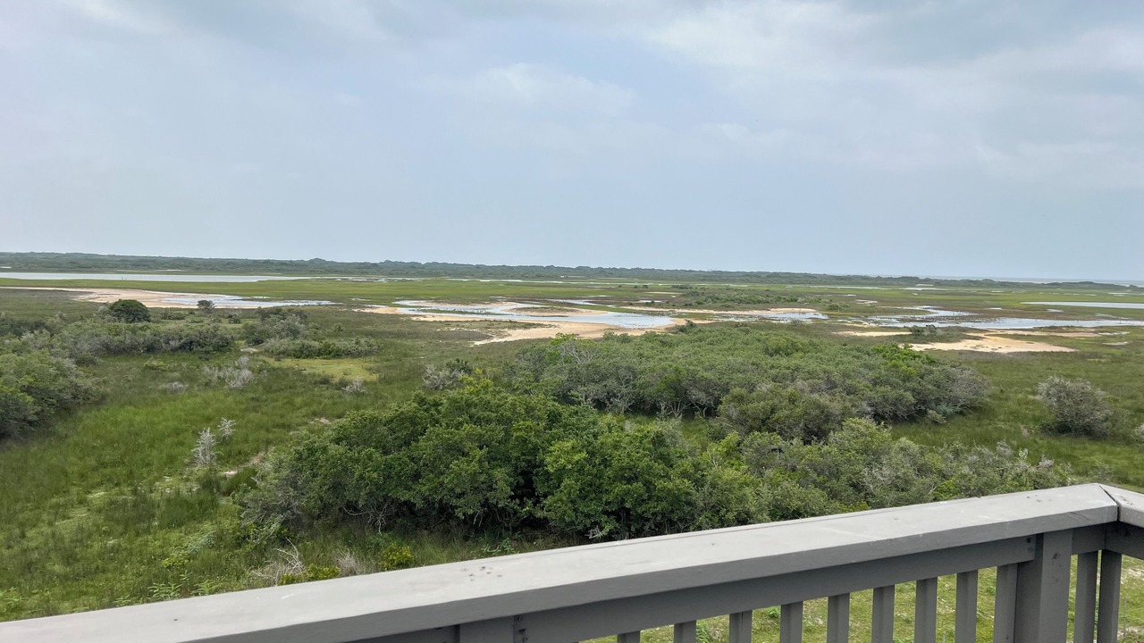 Photo of Outdoor in Port O Connor