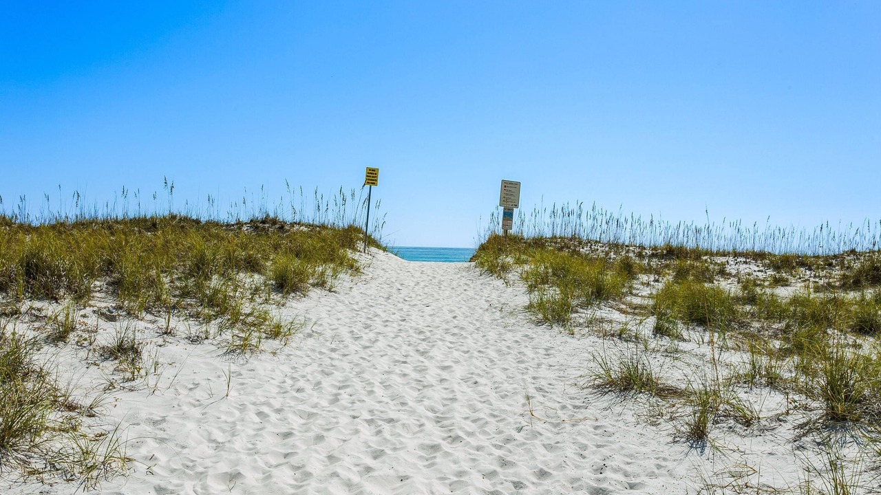 Photo of Others in Pensacola Beach