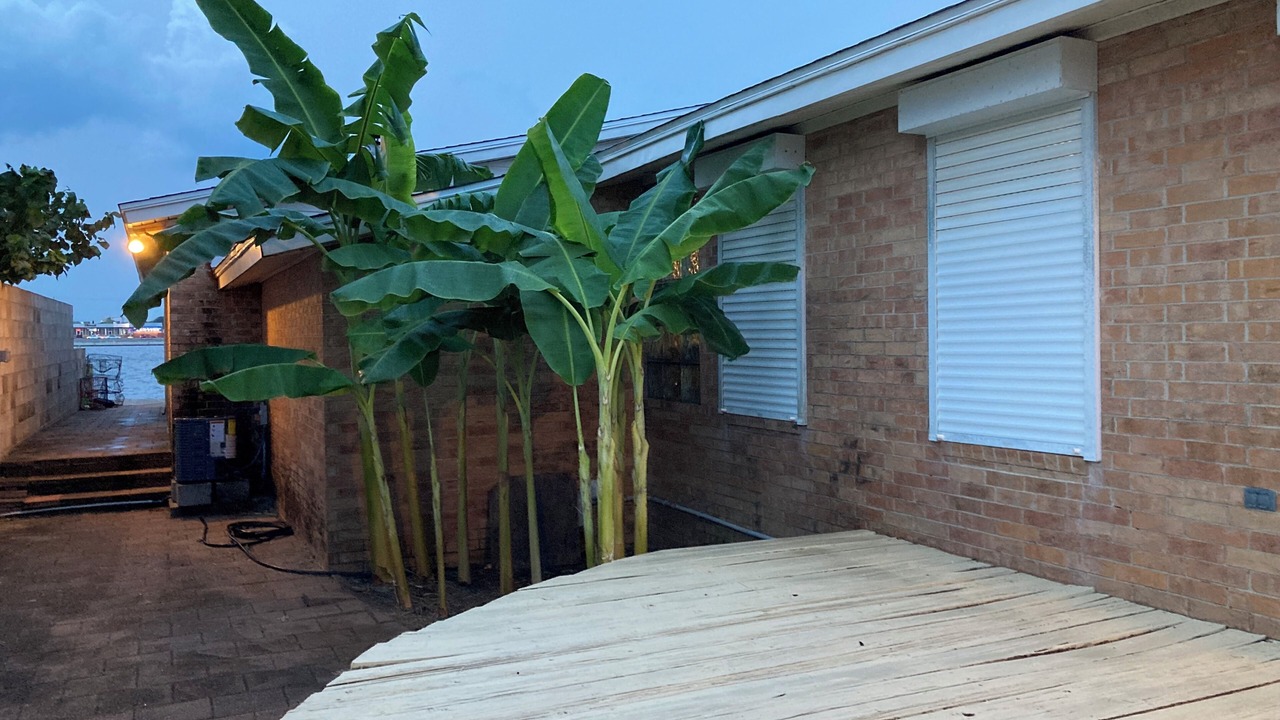 Photo of Outdoor in Galveston