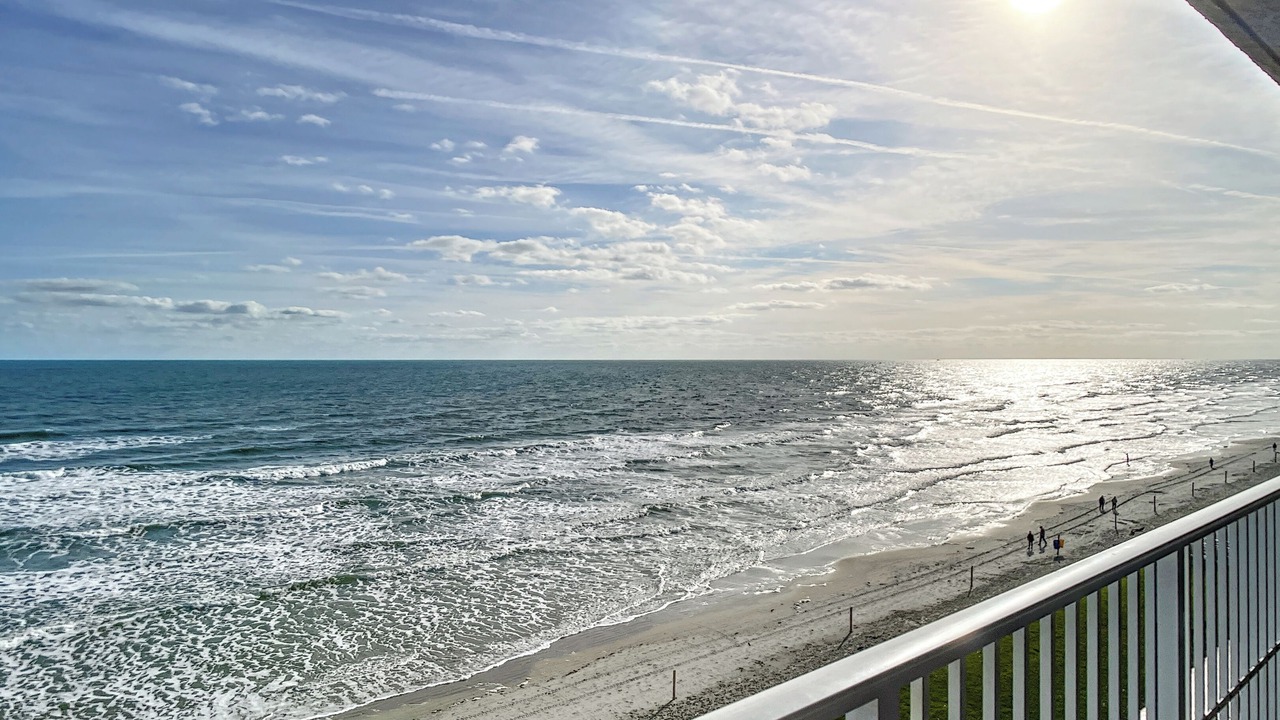 Photo of Others in New Smyrna Beach