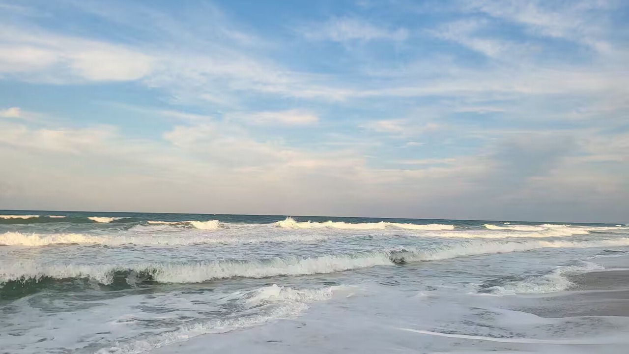 Photo of Others in New Melbourne Beach